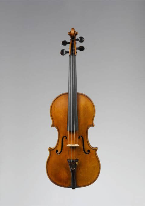 Violin