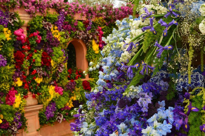 Chelsea Flower Show